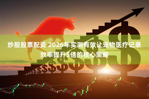 炒股股票配资 2026年实测有效让宠物医疗记录效率提升5倍的核心策略